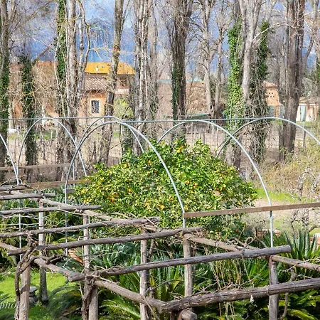 La Foresteria Holiday home Viareggio